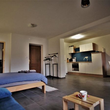 Apartmán Old Square House - Hisa Na Starem Trgu Tolmin Exteriér fotografie