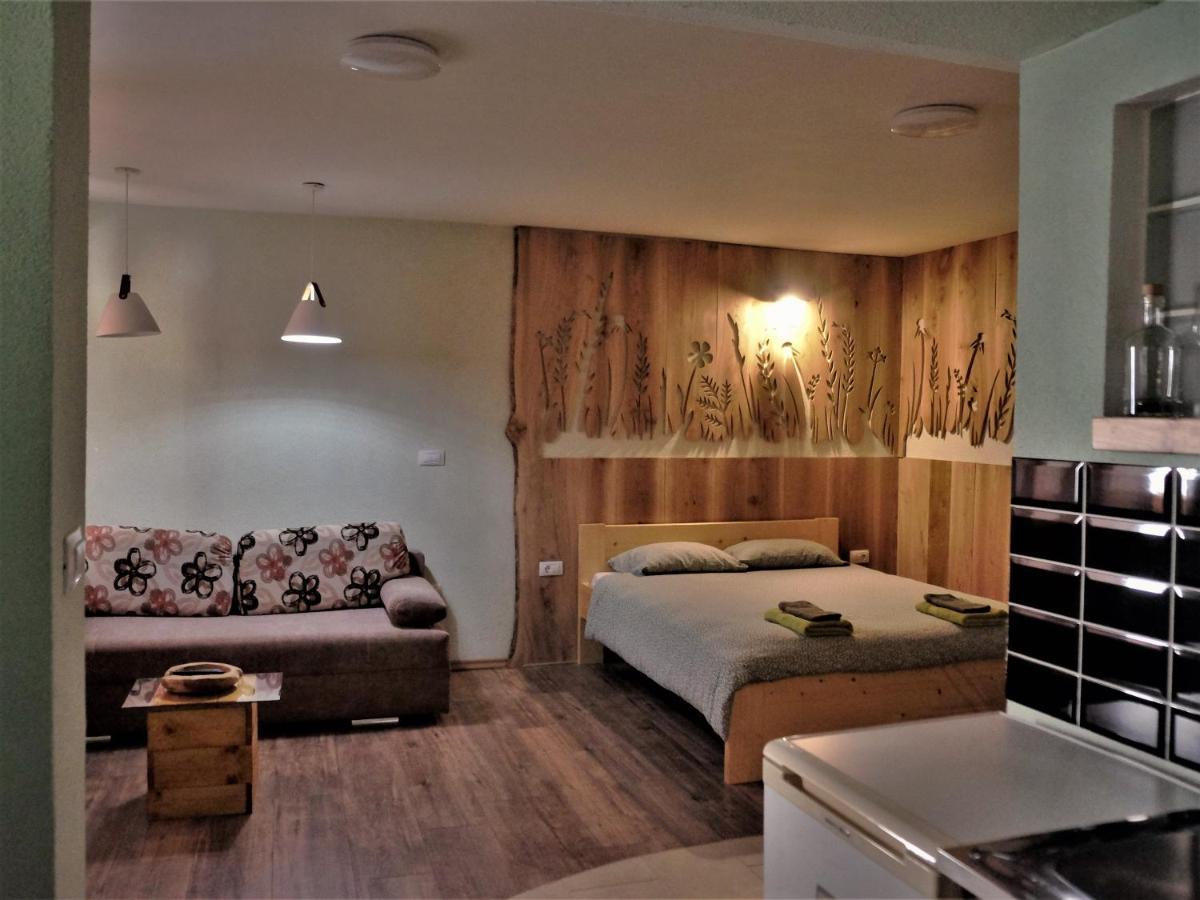 Apartmán Old Square House - Hisa Na Starem Trgu Tolmin Exteriér fotografie
