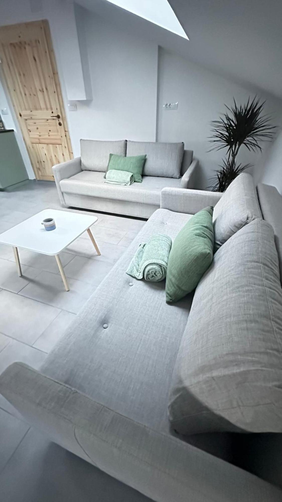 Apartmán Old Square House - Hisa Na Starem Trgu Tolmin Exteriér fotografie